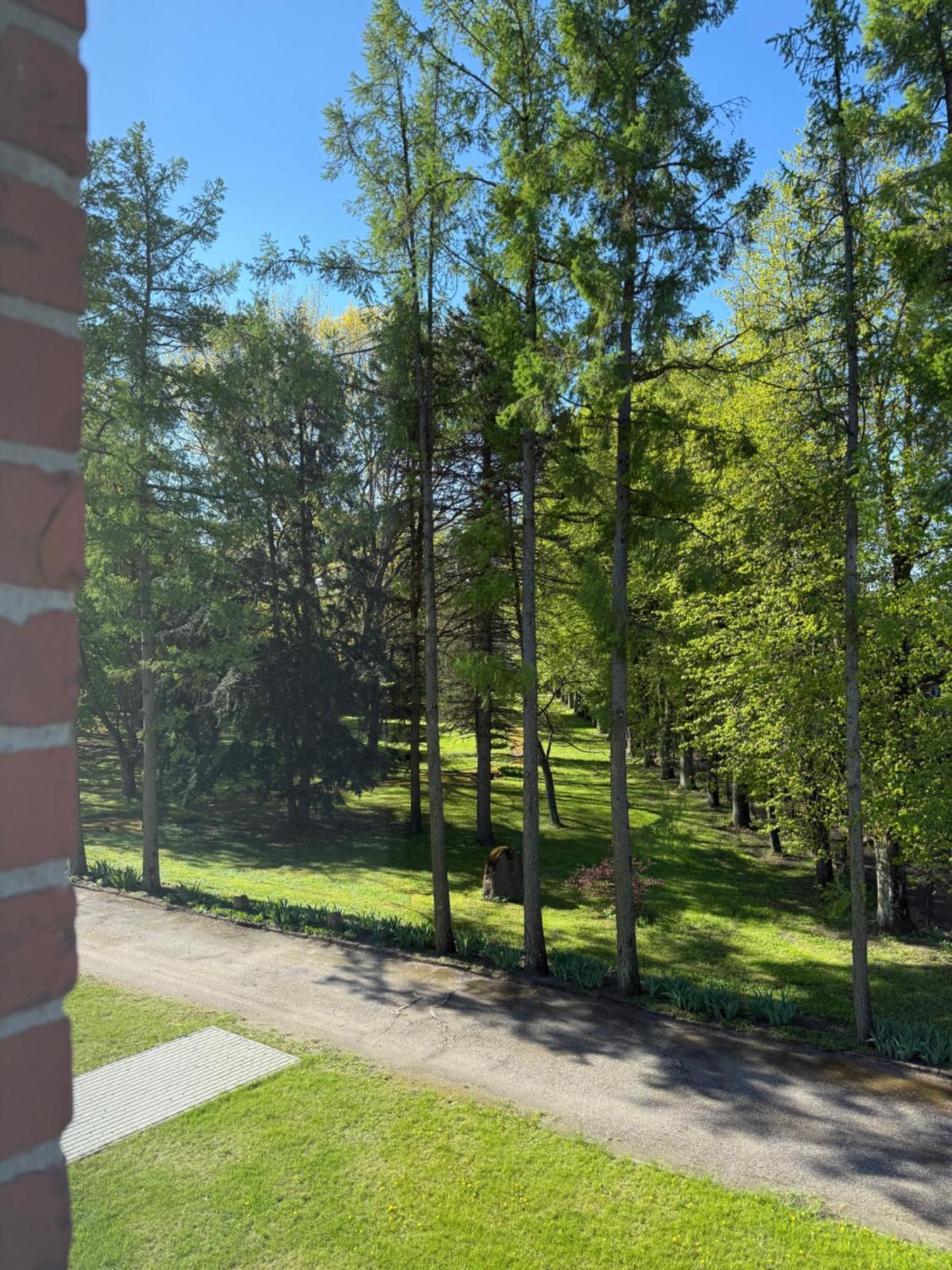 Hotel Eglute Šilutė Esterno foto